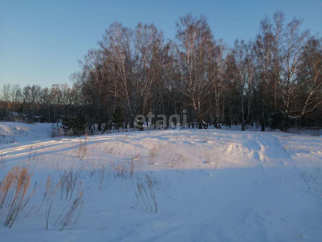 земля р-н Камышловский с Реутинское Богданович фото 6