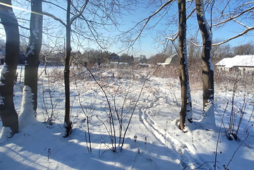 земля р-н Ленинский д Струково ул Восточная городской округ Тула фото 4