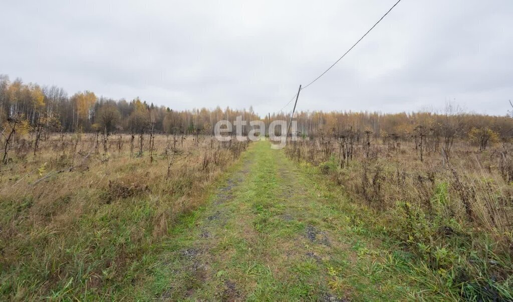 земля р-н Пермский д Растягаево ул Молодежная 17 фото 1