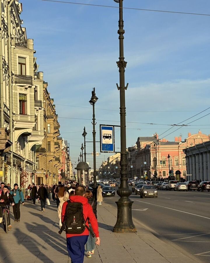 квартира г Санкт-Петербург метро Московские Ворота ул Парфёновская 17 фото 13