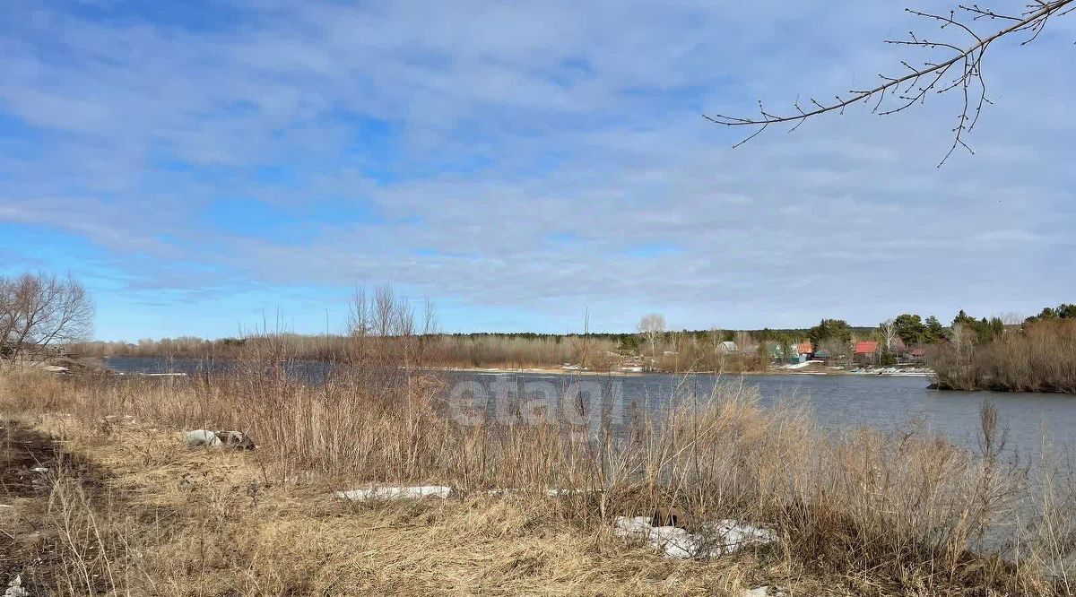 земля р-н Новосибирский Кудряшовский дп, ул. Береговая фото 2