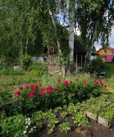 Плотниковский сельсовет, садовое некоммерческое товарищество Север-1, посёлок Михайловский фото