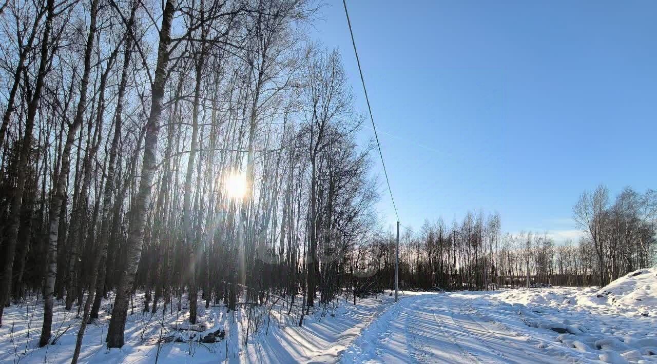 земля р-н Всеволожский Заневское городское поселение, Терра Парк кп, Улица Дыбенко фото 7