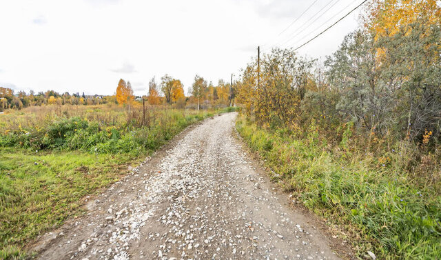 снт Зеленый бор фото