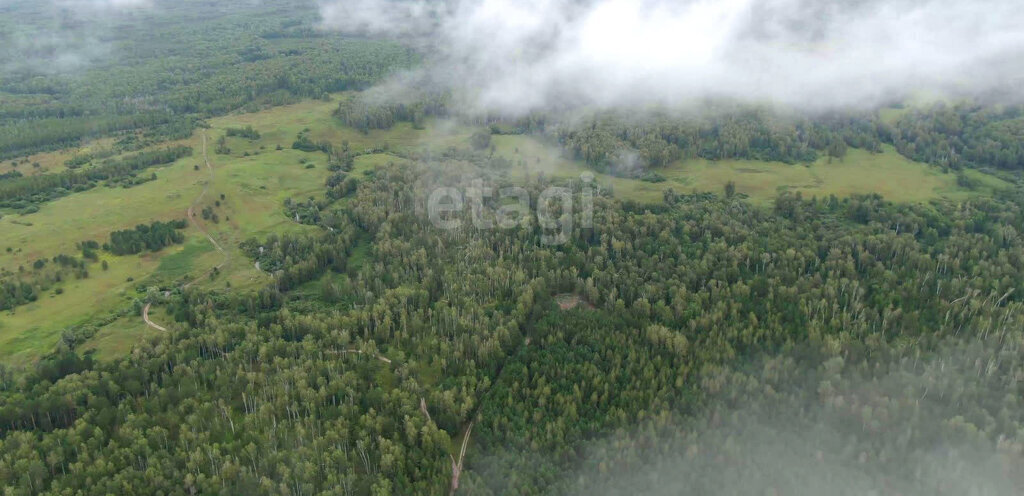 земля р-н Новосибирский фото 6