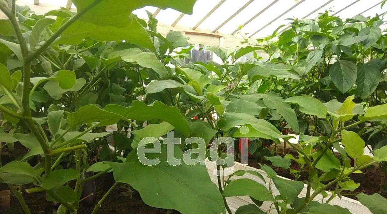 дом г Якутск ул Бекетова фото 25