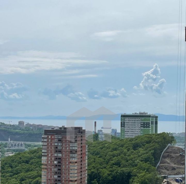 квартира г Владивосток р-н Первореченский ул Полковника Фесюна 22 фото 9