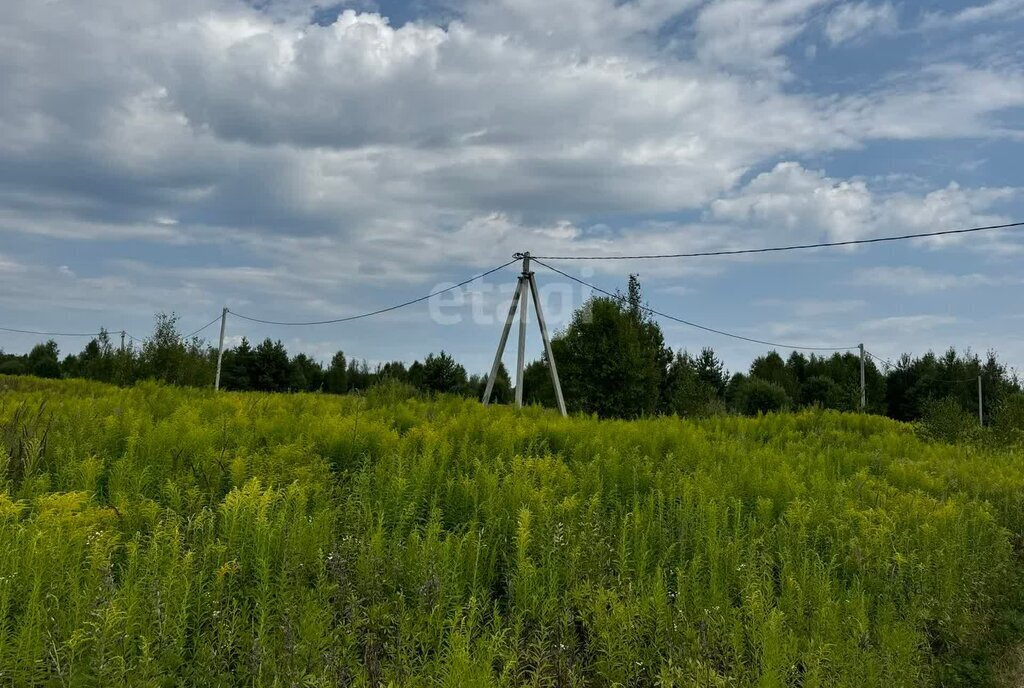 земля Городецкий муниципальный округ, деревня Чуркино фото 4