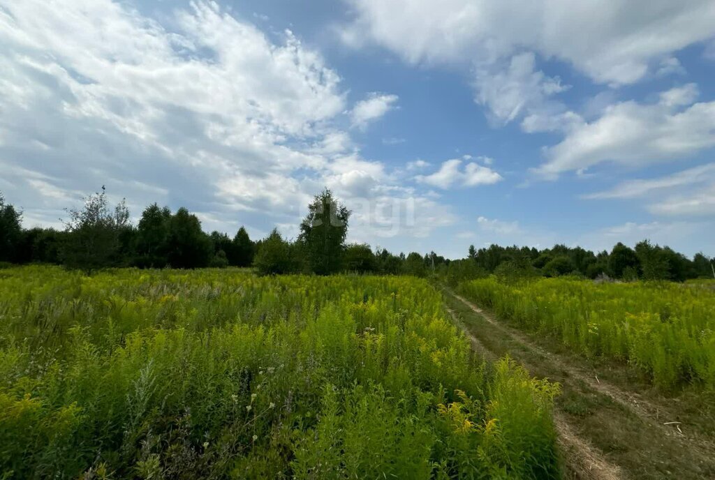 земля Городецкий муниципальный округ, деревня Чуркино фото 3