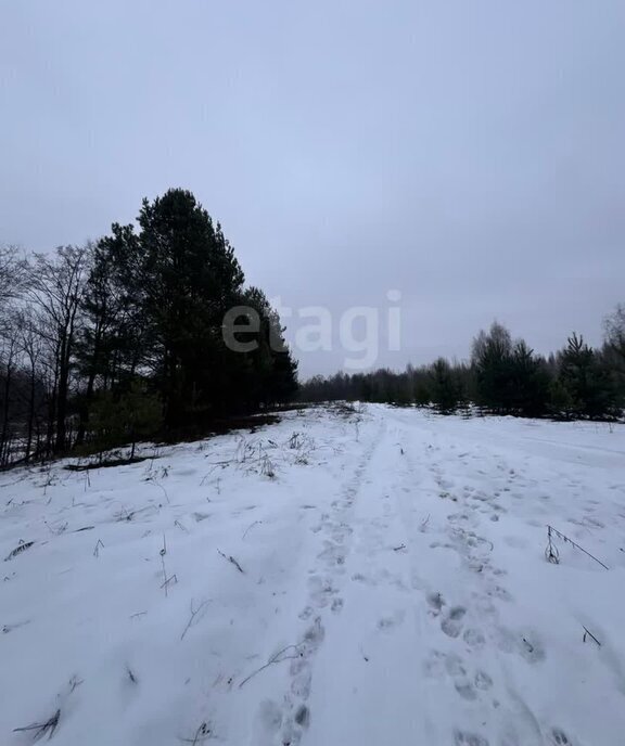 земля р-н Городецкий Федуринский сельсовет фото 2