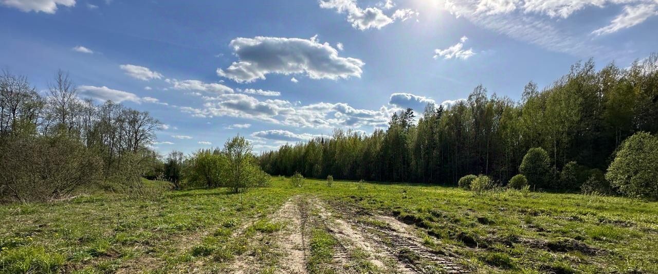 земля Маловишерское городское поселение, д. Некрасово фото 2