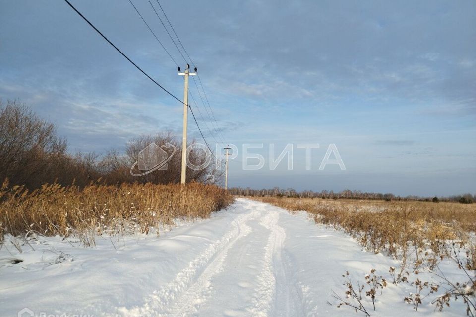 земля р-н Нижнетавдинский СНТ Берёзка фото 2