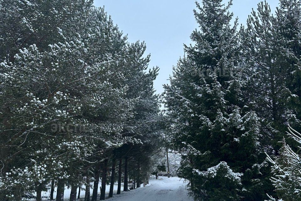 земля р-н Новгородский д Подберезье ул Школьная 2а фото 6