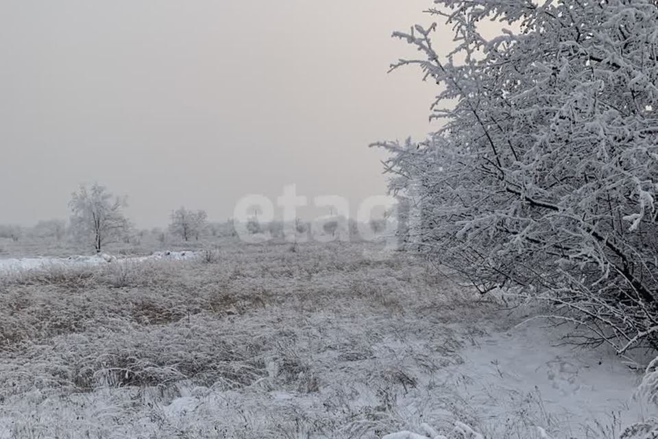 земля р-н Усть-Абаканский с Калинино Калинино-1 м-н фото 5