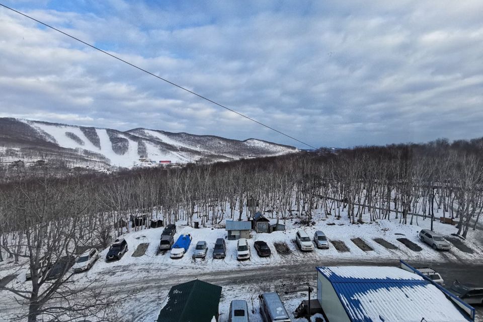 квартира г Петропавловск-Камчатский Петропавловск-Камчатский городской округ, Академика Курчатова, 1 фото 3