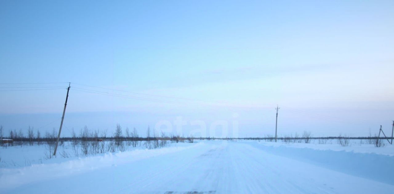 земля г Новый Уренгой ул 3-я Запрудная 2 Виктория ДНТ фото 4
