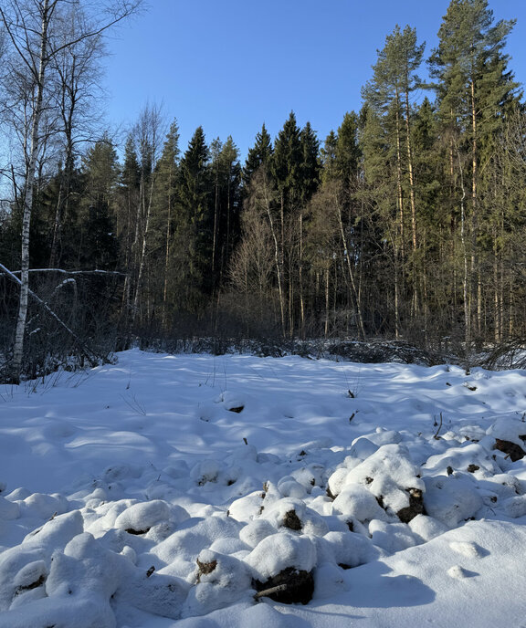 земля городской округ Дмитровский д Лотосово Лобня фото 1