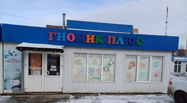 р-н Псковский д Борисовичи ул Балтийская 12а Завеличенская волость фото