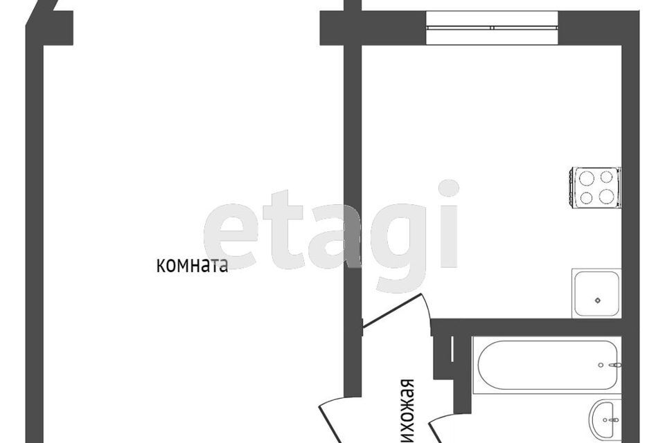 квартира г Петропавловск-Камчатский проезд Туристический 24 Петропавловск-Камчатский городской округ фото 9