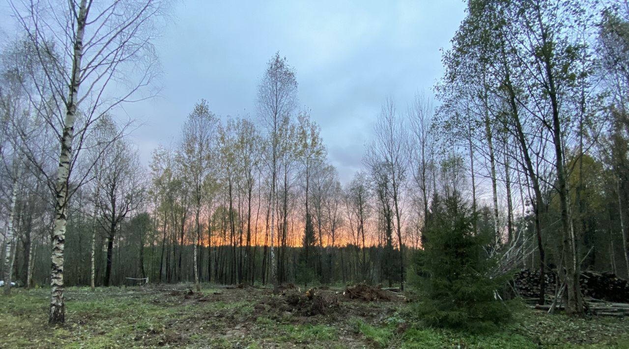 земля городской округ Дмитровский Космынка Светлая кп, ул. Армавирская фото 4