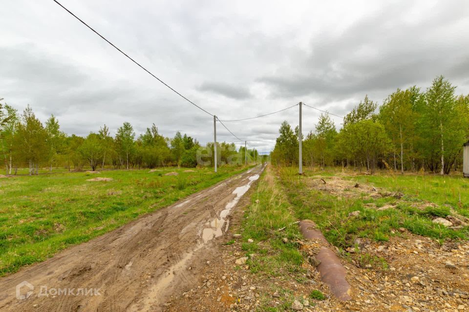 земля р-н Хабаровский село Виноградовка фото 8