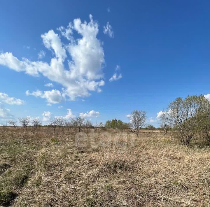 земля р-н Хабаровский с Сосновка Корфовское городское поселение фото 7