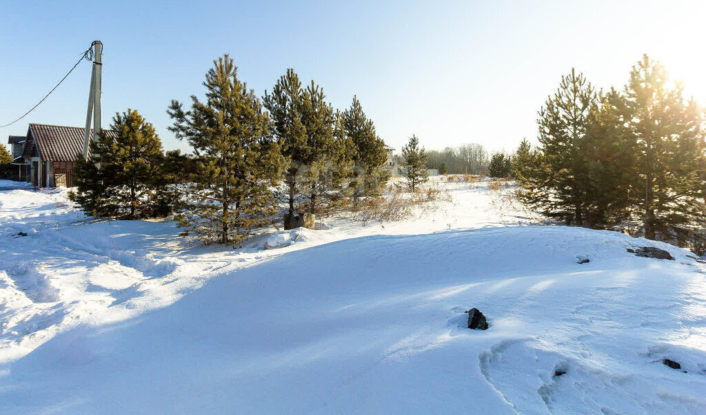 земля г Чехов Чехов-4 Подольск фото 4