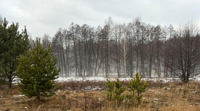 городской округ Богородский д Соколово фото