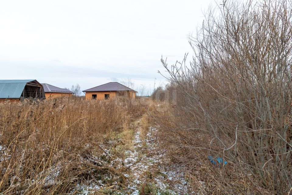 земля г Тюмень снт Поле чудес-2 ул Полевая Тюмень городской округ фото 4