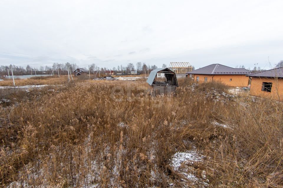 земля г Тюмень снт Поле чудес-2 ул Полевая Тюмень городской округ фото 6