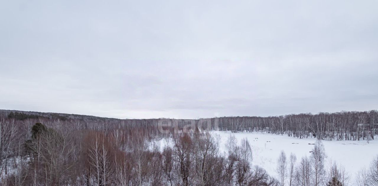 квартира р-н Новосибирский п Каинская Заимка Барышевский сельсовет, ул. Серебряное Озеро, 8 фото 20