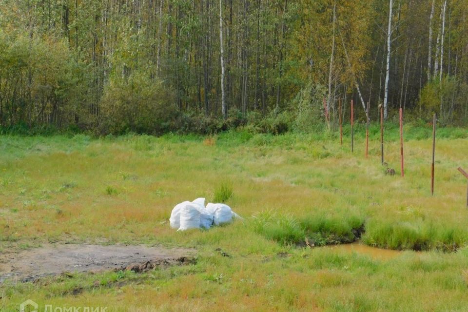 земля городской округ Щёлково мкр Лосиный парк ул Осиновая 10б фото 4