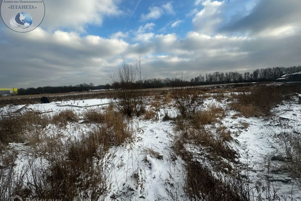 земля городской округ Богородский г Ногинск ул 2-ая Живописная фото 4