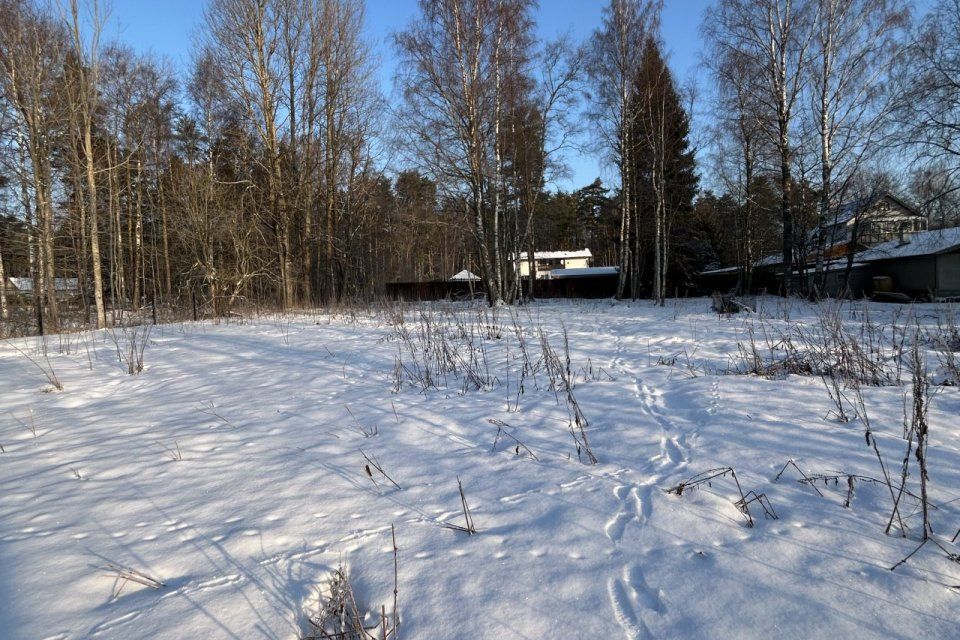 земля р-н Всеволожский д Озерки Приморское гп, Приморское шоссе, 161, Выборгский муниципальный район фото 1