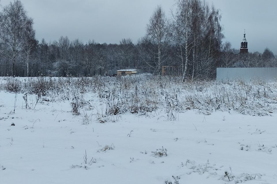 земля городской округ Орехово-Зуевский д. Кудыкино фото 1