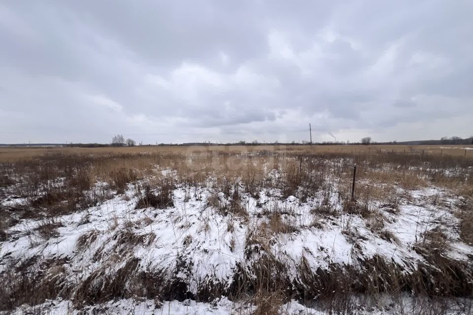 земля городской округ Воскресенск д. Степанщино фото 1