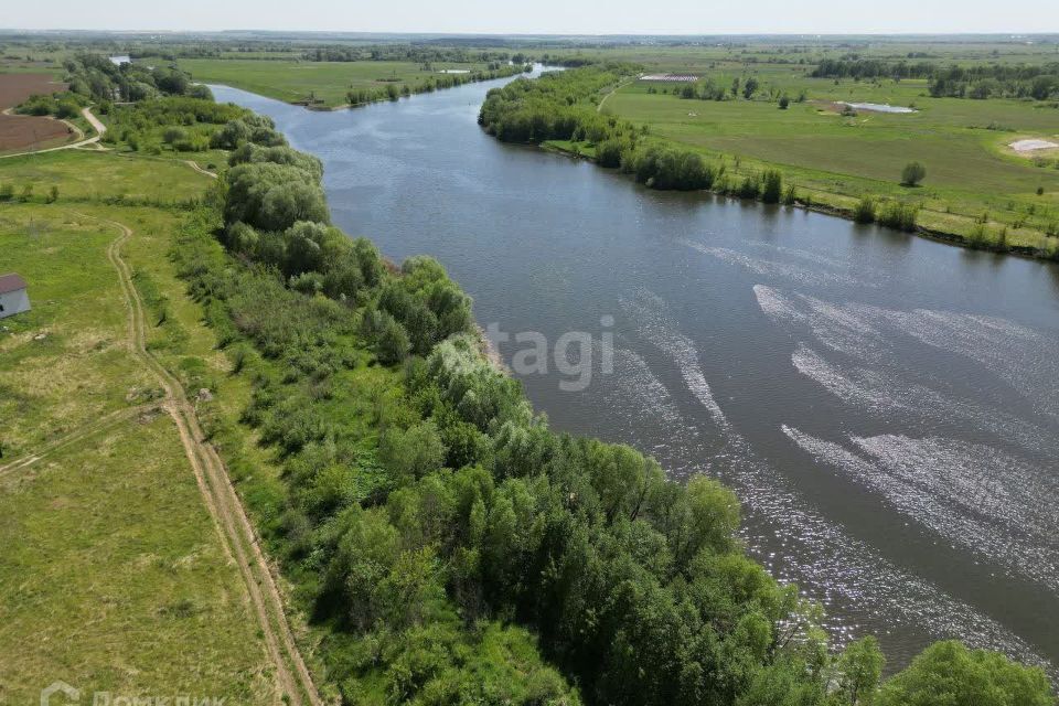 земля городской округ Воскресенск Сосновый бор фото 4