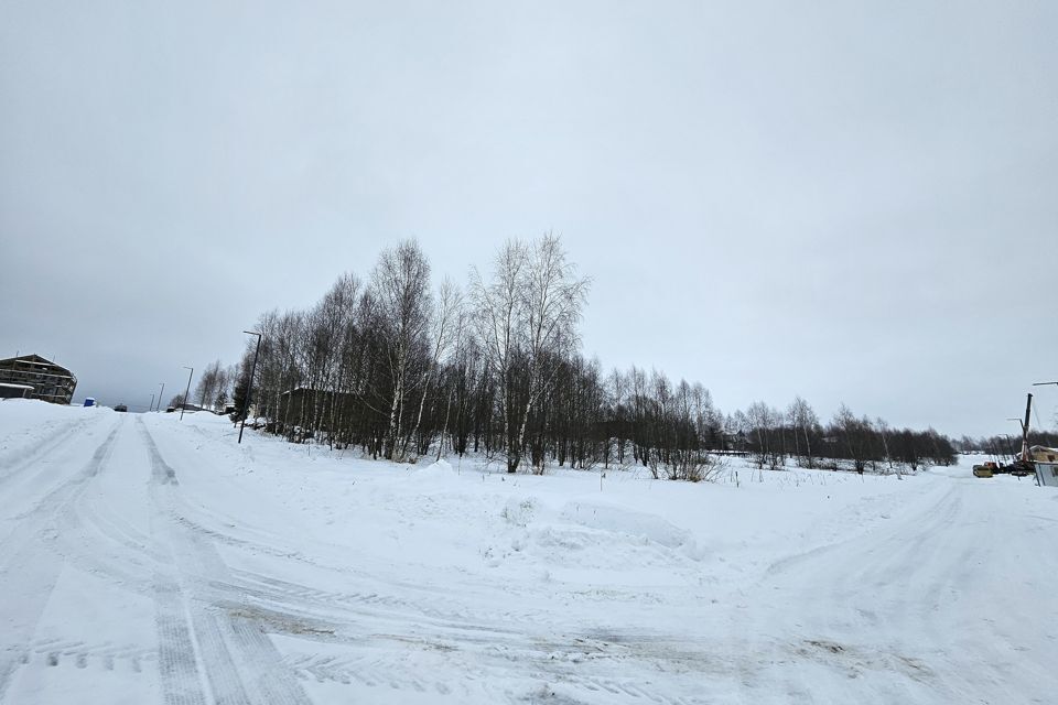 земля городской округ Можайский д. Дёрново фото 3