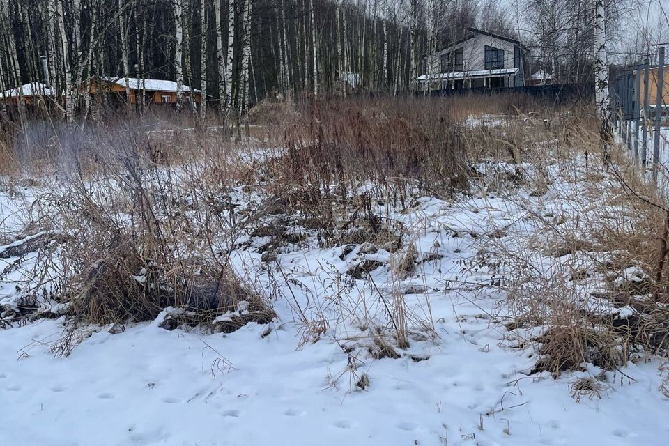 земля городской округ Раменский Ясная поляна фото 2