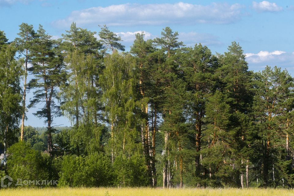 земля городской округ Ступино коттеджный посёлок Живописный берег фото 9