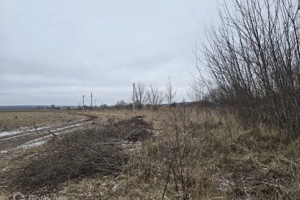 земля городской округ Воскресенск д. Городище фото 8