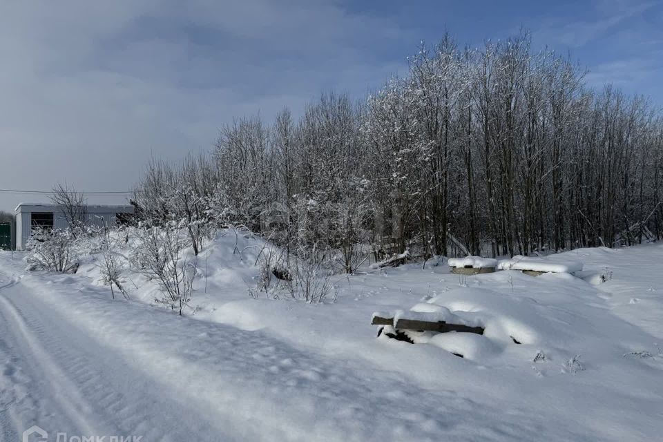 земля р-н Ломоносовский фото 6