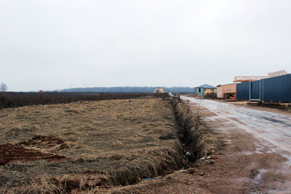 земля городской округ Домодедово д. Гальчино фото 5