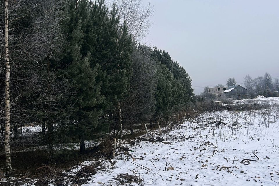 земля городской округ Пушкинский с. Братовщина фото 9