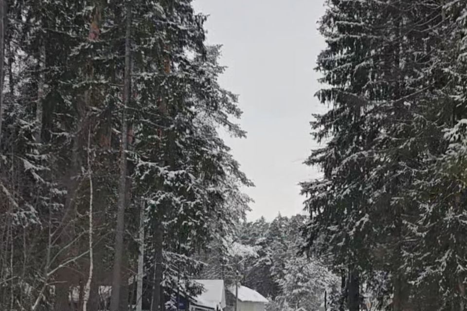 дом городской округ Красногорск садоводческое некоммерческое товарищество Рябинушка фото 10