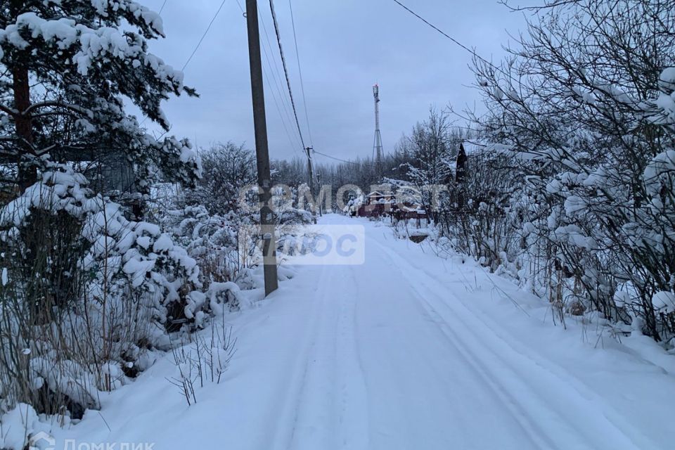 земля р-н Тосненский д. Бабино фото 6