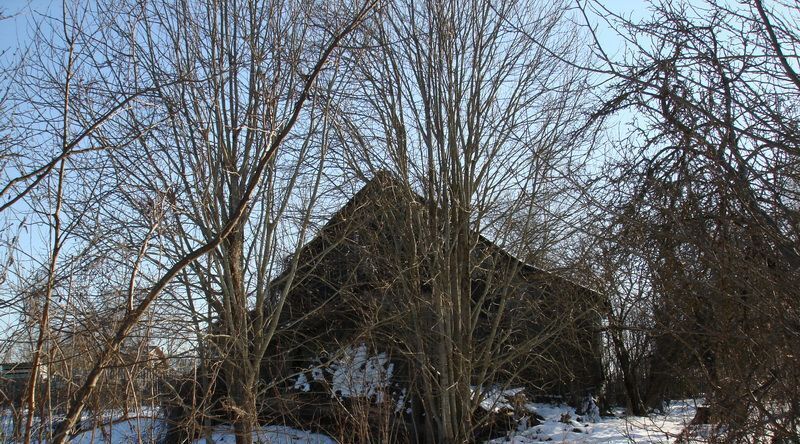 дом городской округ Волоколамский с Рюховское 9 фото 4