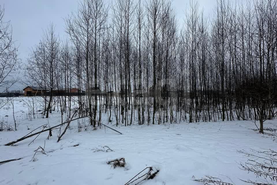 земля городской округ Дмитровский с Орудьево тер объединения Дмитровский ул Мира просторы-2 фото 6