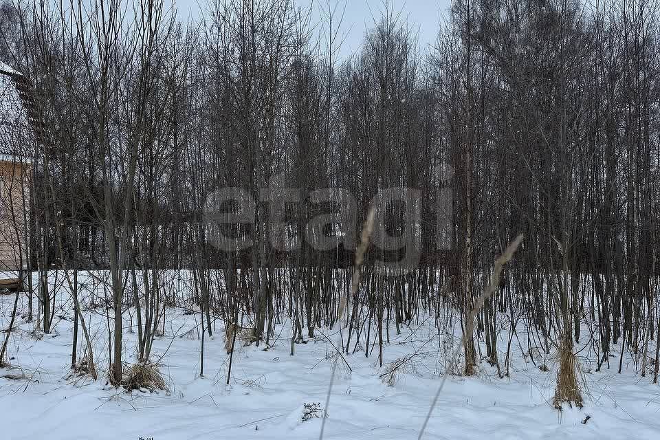 земля городской округ Дмитровский с Орудьево тер объединения Дмитровский ул Мира просторы-2 фото 7