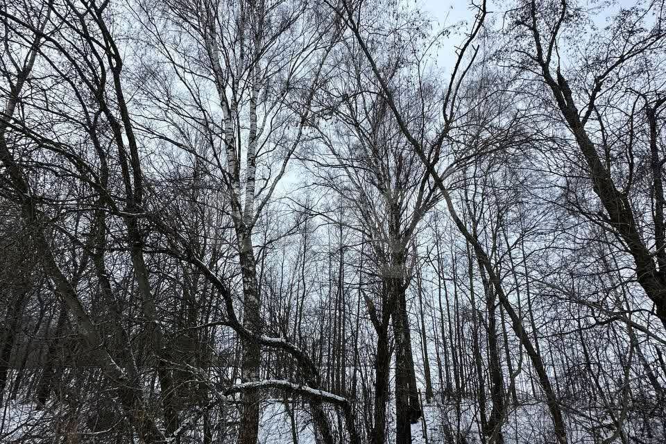 земля городской округ Дмитровский с Орудьево тер объединения Дмитровский ул Мира просторы-2 фото 9